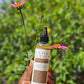 Hair Growth Oil - 4oz